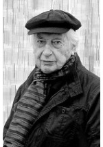 julio-le-parc_466256500