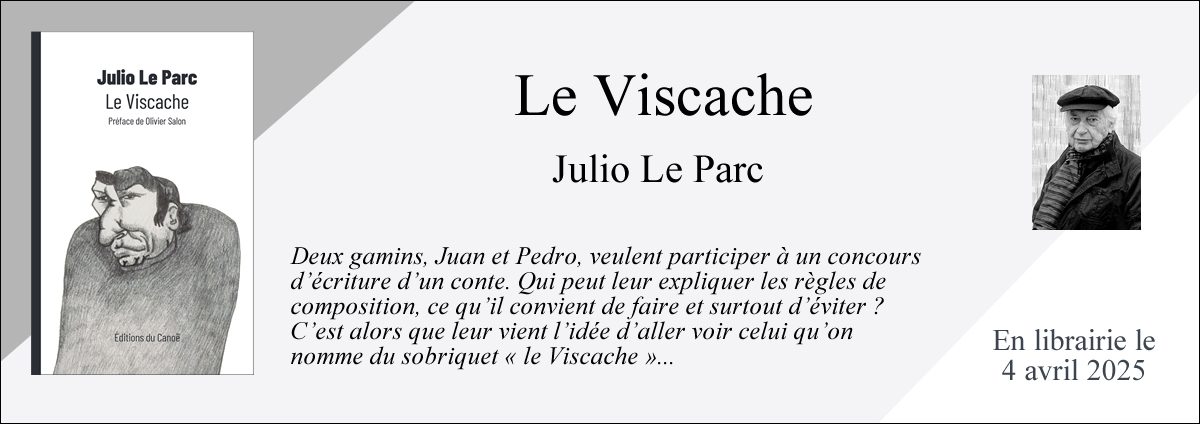 Le Viscache - Julio Le Parc